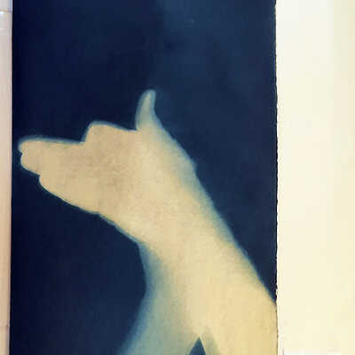 Handmade Dog Cyanotype 25