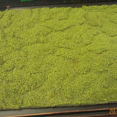 Rug, dollhouse