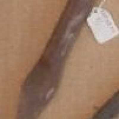 chisel