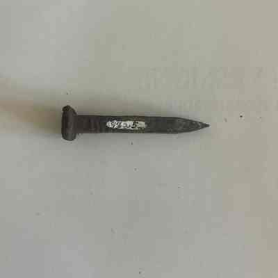 Nail