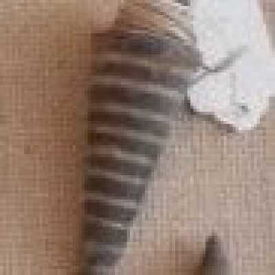 Lee's tools, plumb bobs