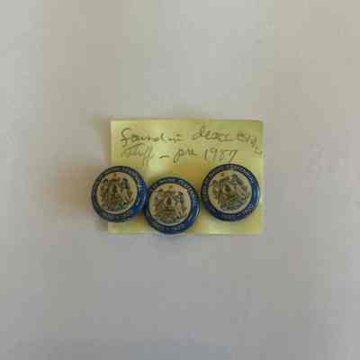Pin, Lapel