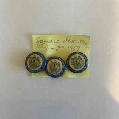 Pin, Lapel