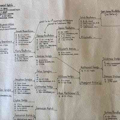 Island genealogy