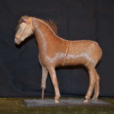 Animal, Stuffed