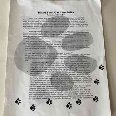 Island Feral Cat Association