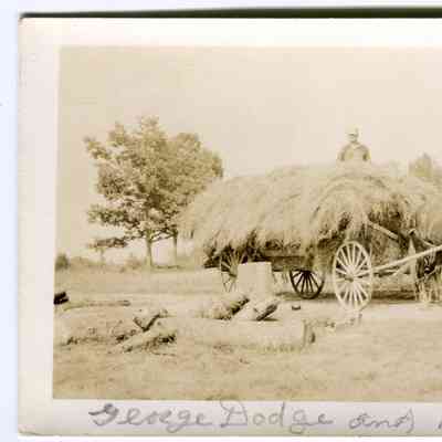 Postcard of George Dodge on top of a load of hay