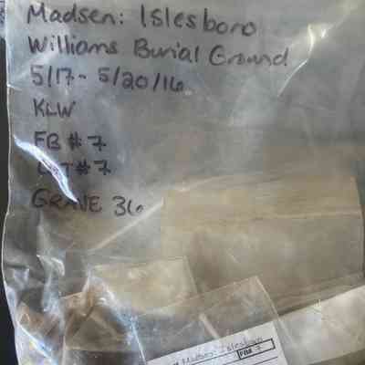Artifacts from the Shubael Williams burying ground