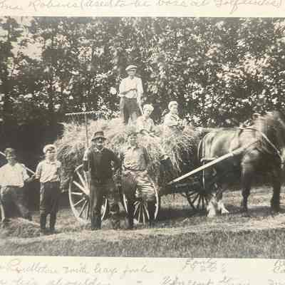 Haying workers