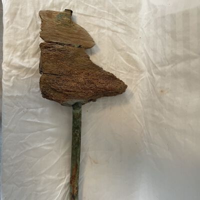 Wooden Spikesvin, Unknown use