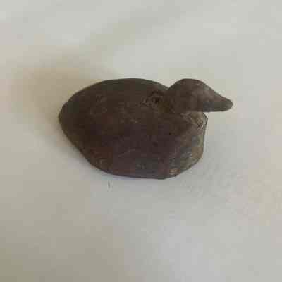 Duck