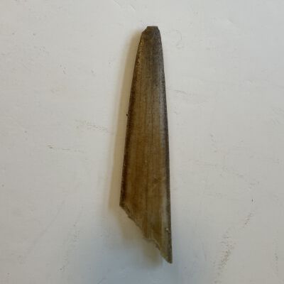 Carved Swordfish Bill