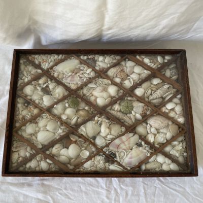 Shadow Box Shell Latticework
