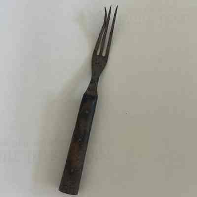 Fork