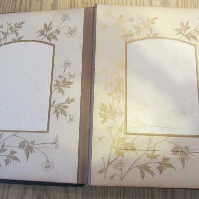 Album, Photograph