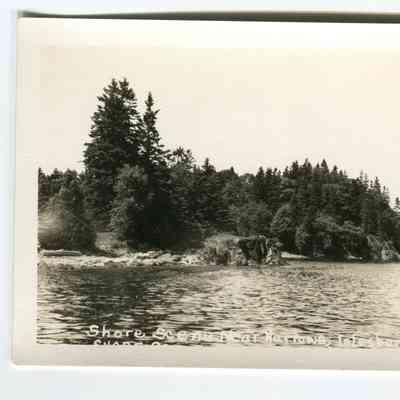 Postcard of shore scene near the Narrows