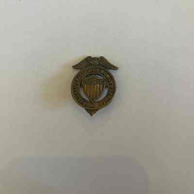 Pin