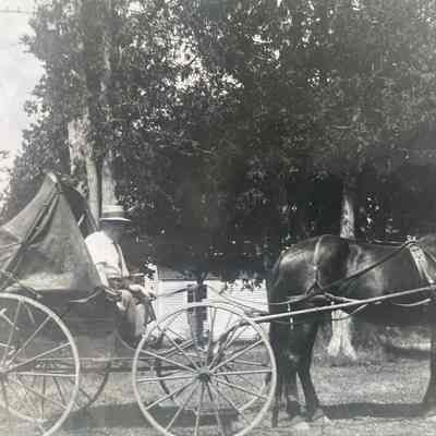 Horse and buggy