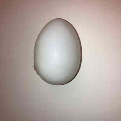 Egg, Nesting