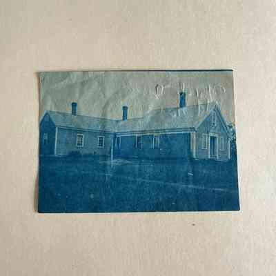 Print, Photographic