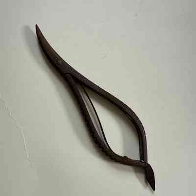 Snips