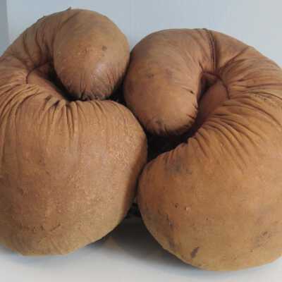 Glove, Boxing
