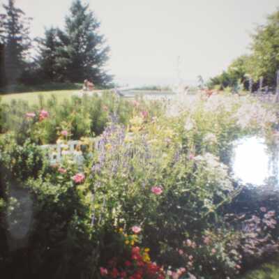 Program