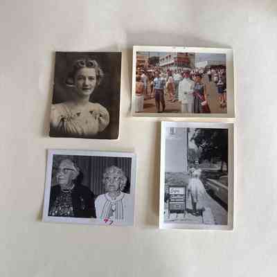 Assorted snapshots of island residents