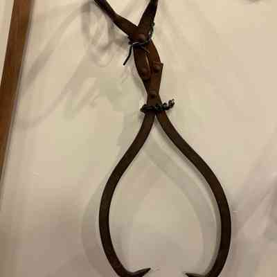 Tongs, Ice