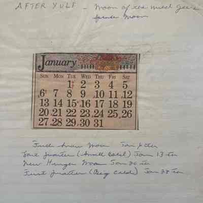 Elizabeth Ladd journal, 1985, 1986