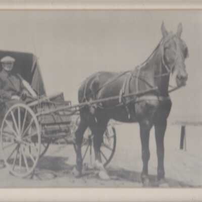 Print, Photographic