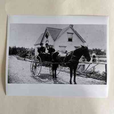 Bill Dick Pendeton with his horse and carriage