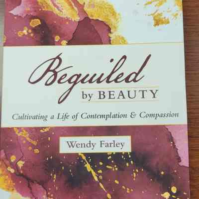 Beguiled by Beauty Cultivating a Life of Contemplation and Compassion by Wendy Farley