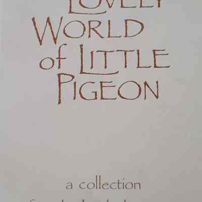 The Lovely World of Little Pigeon