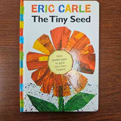 The Tiny Seed