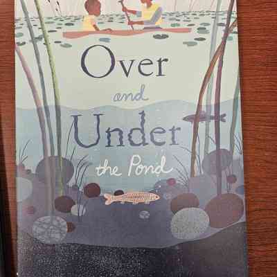 Over and Under the Pond