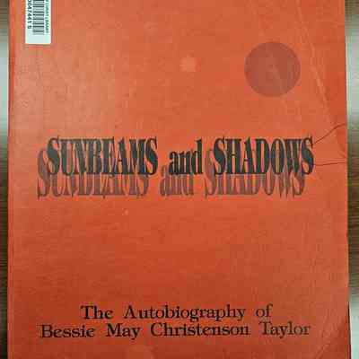 Sunbeams and Shadows