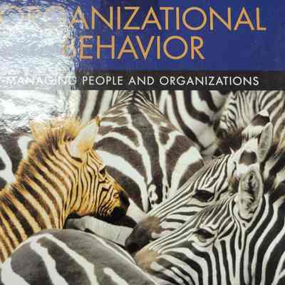 Organizational Behavior Managing People and Organizations