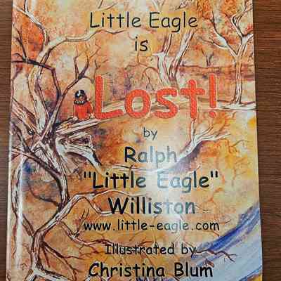 Little Eagle is Lost