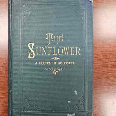 The Sunflower