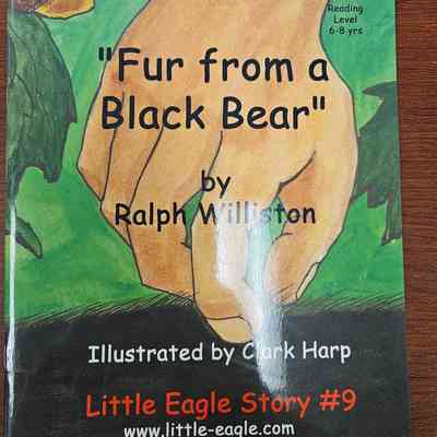 Fur from a Black Bear
