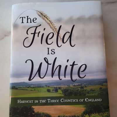 The Field is White