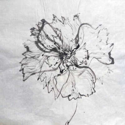 FF316 - Untitled
