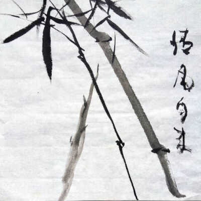 FF318 - Untitled