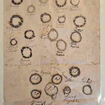 Hair Lock Family Tree
