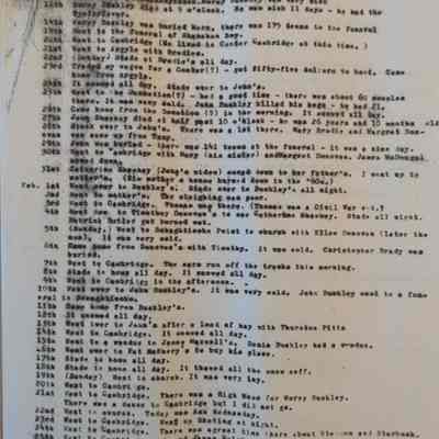 James Sheehey Diary (1852-1903)