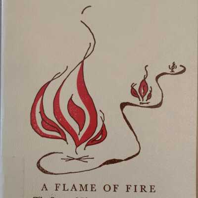 Flame Of Fire: The Story Of the Troy Annual Conference
