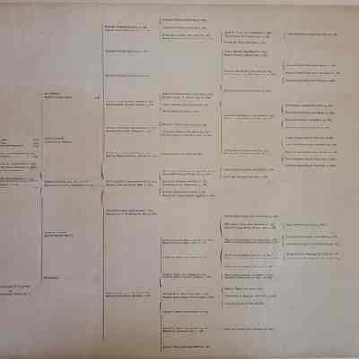 Printed Bogardus Family Tree