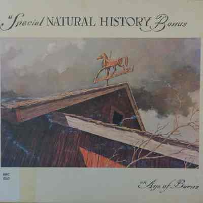An Age Of Barns