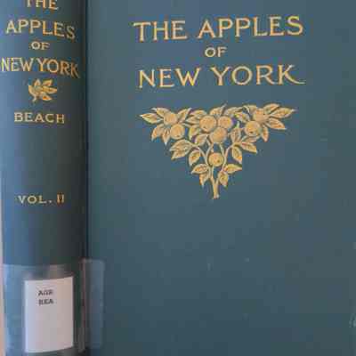 The Apples of New York Vol. II